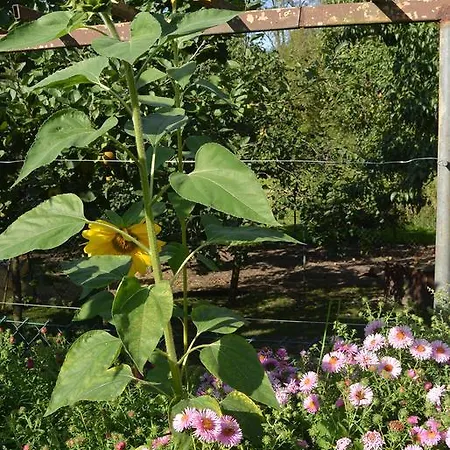 아파트 Landruhe 드레시비츠